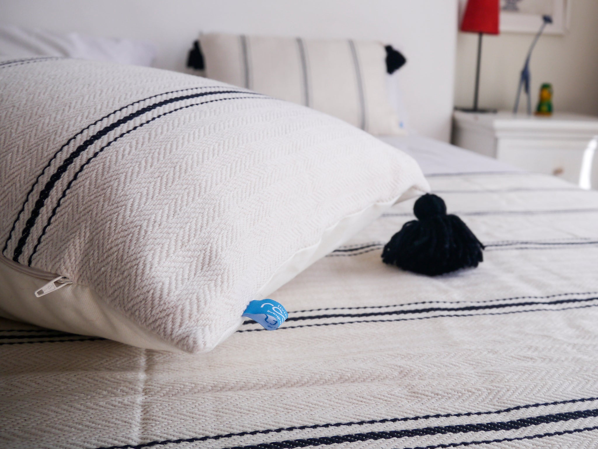 Black Tassel Blanket & Cushion